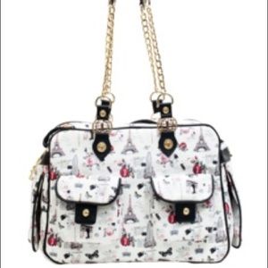 Pet Carrying Bag
